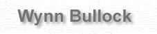 banbullock.jpg (4404 bytes)