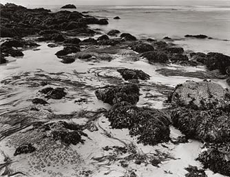 seascp.jpg (39305 bytes)
