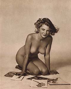 pinup.jpg (16745 bytes)